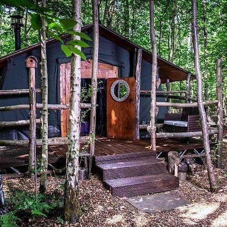 Cosy Woodland Romantic Retreat With Log Fires And Nature Sturry Exteriör bild