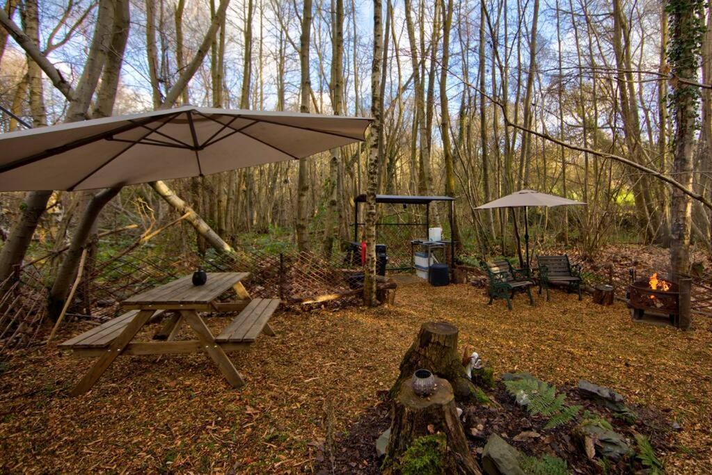 Cosy Woodland Romantic Retreat With Log Fires And Nature Sturry Exteriör bild