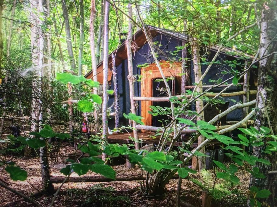 Cosy Woodland Romantic Retreat With Log Fires And Nature Sturry Exteriör bild