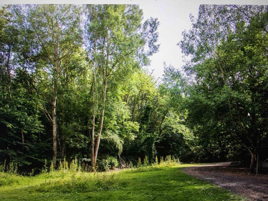 Cosy Woodland Romantic Retreat With Log Fires And Nature Sturry Exteriör bild