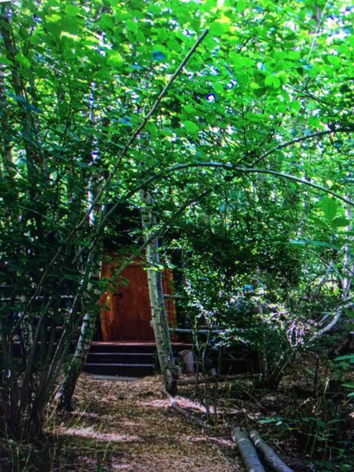Cosy Woodland Romantic Retreat With Log Fires And Nature Sturry Exteriör bild