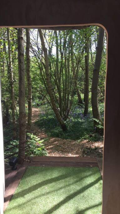 Cosy Woodland Romantic Retreat With Log Fires And Nature Sturry Exteriör bild
