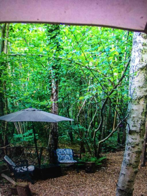 Cosy Woodland Romantic Retreat With Log Fires And Nature Sturry Exteriör bild