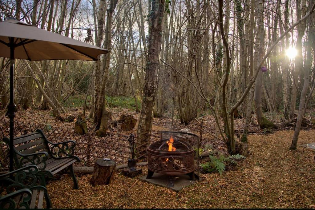 Cosy Woodland Romantic Retreat With Log Fires And Nature Sturry Exteriör bild